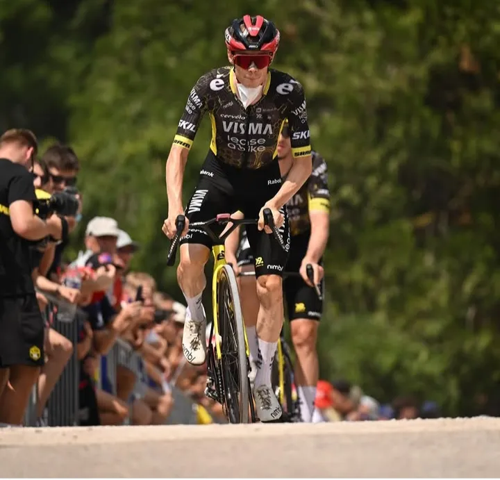 POGACAR: "EL TOUR NO SERÁ IGUAL SIN VINGEGGARD" - Fondo